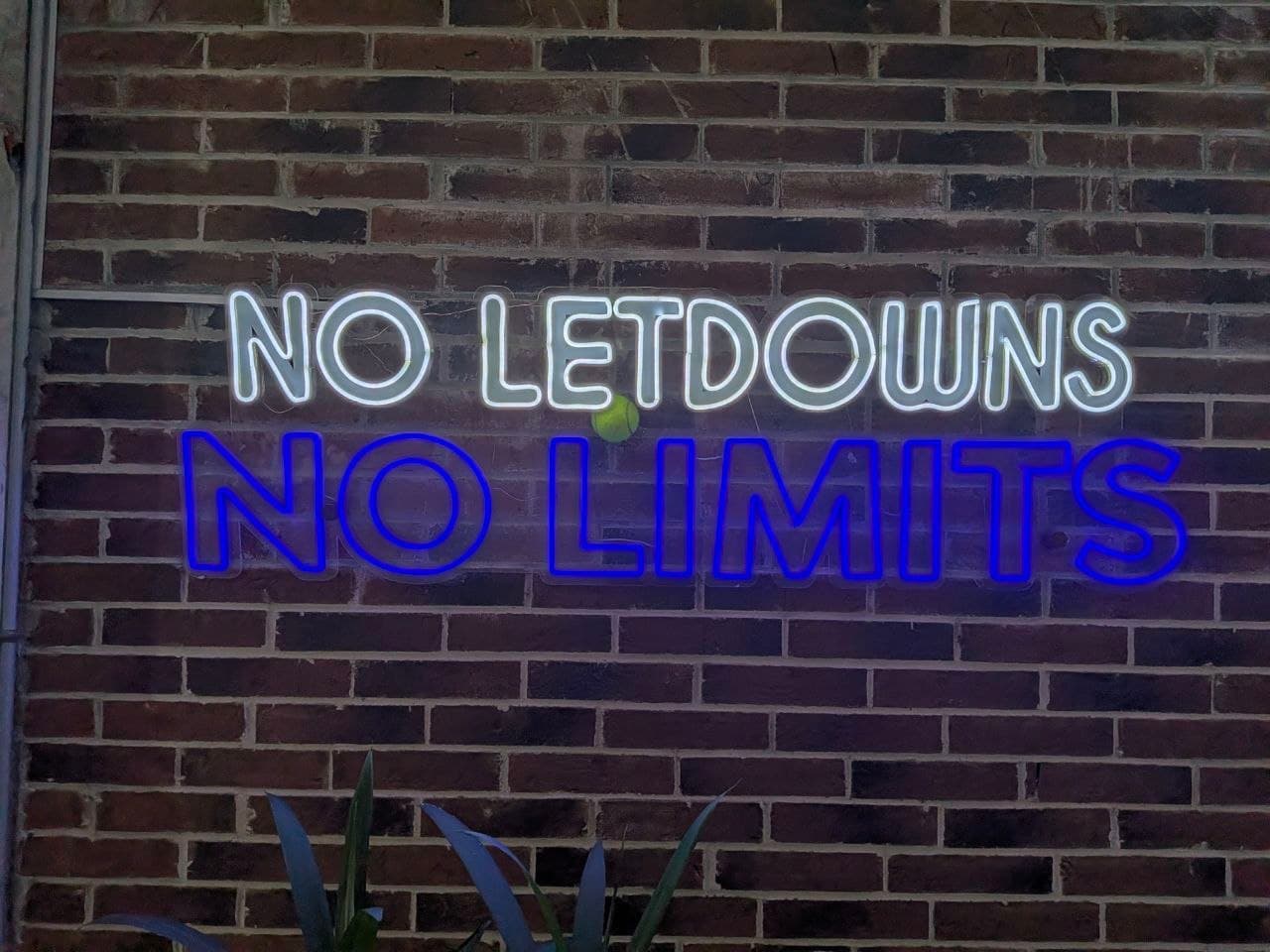 Letrero de neón del club sobre muro de ladrillo: No letdowns, no limits
